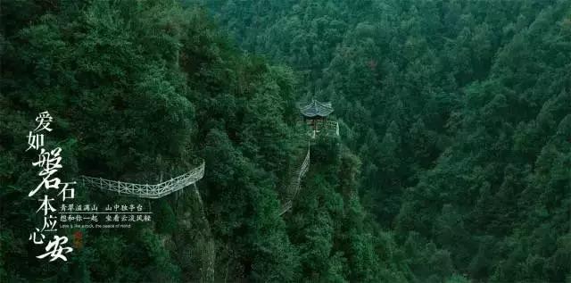 哪些影视作品里出现过让人震撼或惊艳的老虎形象？游戏画面